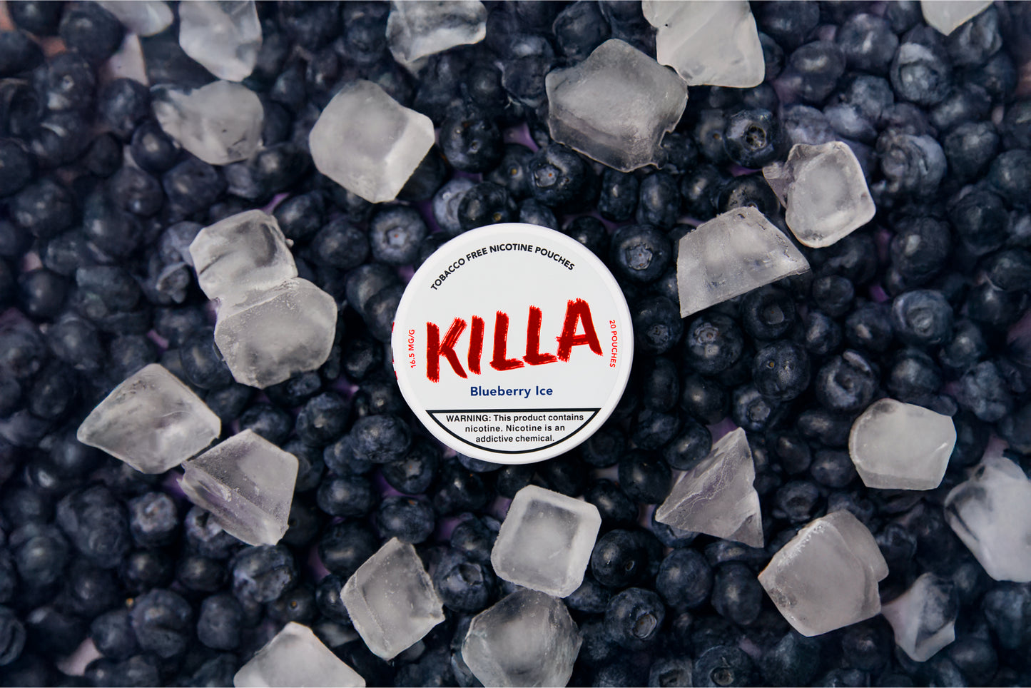 Blueberry Ice - 30mg